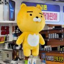 본텔레콤 이미지