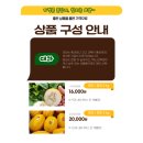 한국소상공인교육진흥원