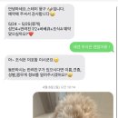 스테이뭉구