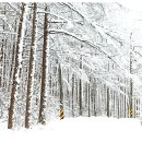 안동여자고등학교 이미지