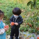 지묘어린이집 이미지