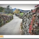 사랑방모임경로당 이미지