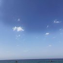 알톤자전거 강릉대리점 이미지