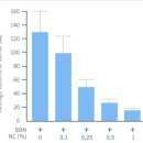 2011-주001 | 암억제 유전자 활성화물질, 비타민B3니코틴산아미드2