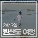 베베몽몽 | 아이와 반려견과 함께한 원산도 2박 3일 가족 여행 후기