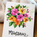 캘리그라피(야간) 이미지