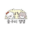 숭구리댕댕 이미지