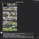 딩동댕댕 애견 유치원 네이버블로그
