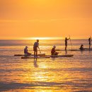 아일랜드리솜 이미지