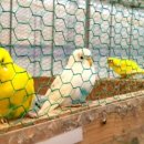 신리농장 이미지