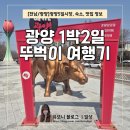 광양 5일시장-중앙 | [공지] [전남/광양] 광양5일시장, 숙소, 맛집 정보 등 광양 1박2일 뚜벅이 여행코스 공개! (1편)