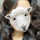 (주)서울파마 | 산성역 미용실 파마 망한후기..