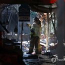 대원청과 이미지