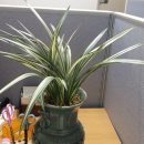 공정거래행정사사무소 이미지