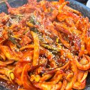 생생오징어 이미지