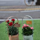 꽃과사람들 이미지