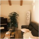 스테이장유7 이미지