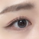 아이비쥬 네이버블로그