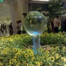 짱구자동차 이미지