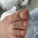 레푸스앤두두뷰티 이미지