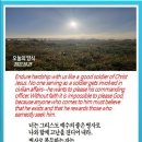 오늘의양식 네이버블로그