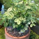 카페정거장 이미지