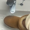 아베오 | 어그 방수스프레이 아베오나 추천 내돈내산 테스트 후기