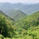 덕곡(중앙) 이미지