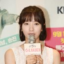 종합란제리 이미지