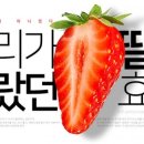 딸기짐 네이버블로그