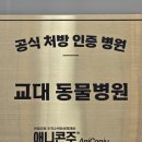 서초동물병원 | 서초구동물병원, 반려견 건강검진 찐후기!