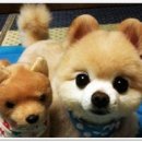 예그리나파티 네이버블로그