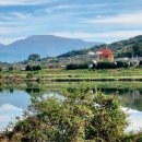 섬진강대나무숲길 이미지