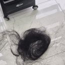 이날헤어 이미지