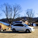 숲속캠핑장 이미지