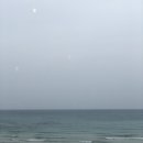스테이솔