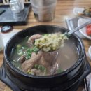 전주삼계탕 | 전주 호성동 맛집 하수오삼계탕 | 몸보신 삼계탕 녹두죽 맛집 후기