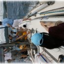 하서리8 이미지