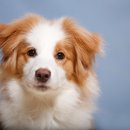 이스턴동물병원 이미지