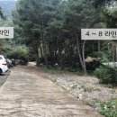 별천지펜션민박 이미지