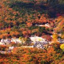 삼산면-4 이미지