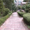 한솔마을.LG아파트 이미지