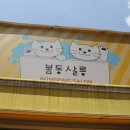 봄동살롱 | 성북구고양이미용 봄동살롱에서 무마취 교감미용 + 목욕 단골예약완료!