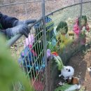 고려튼튼태권도 이미지