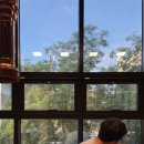 덤드림 송현점 이미지