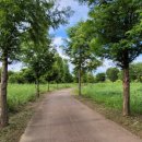 팔당물안개공원 이미지