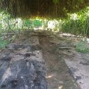 시원한 농장 이미지