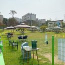 플레르퍼피 이미지