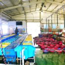 사곡좋은주유소 이미지