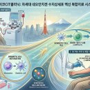 주식회사 메디컬라인 | 수지상세포백신(박셀) 치료 비용